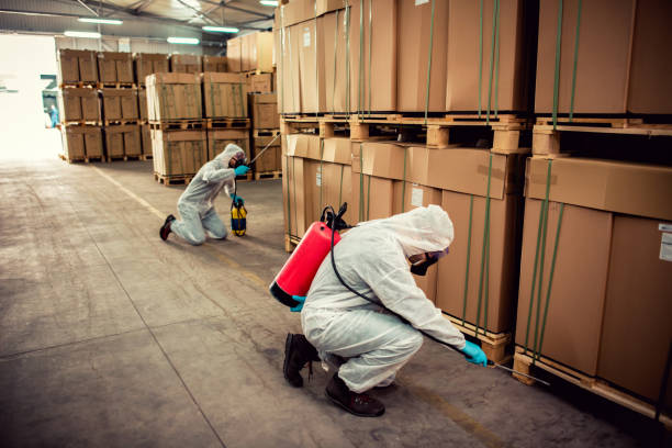 Best Cockroach Control Services  in Akwesasne, NY