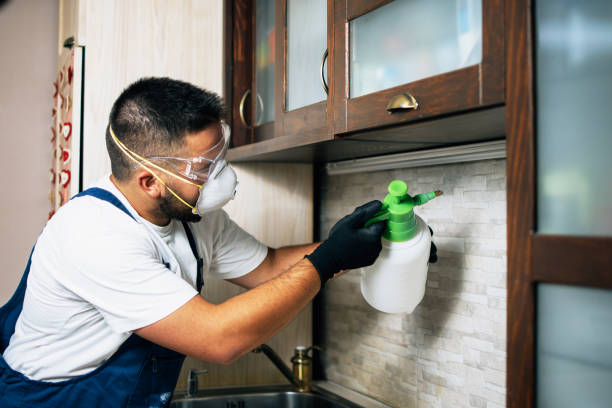 Best Best Pest Control Companies  in Akwesasne, NY