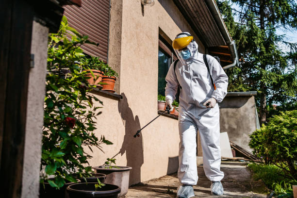 Best Flea Control Services  in Akwesasne, NY