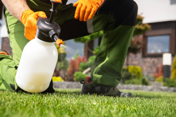 Best Best Pest Control Companies  in Akwesasne, NY