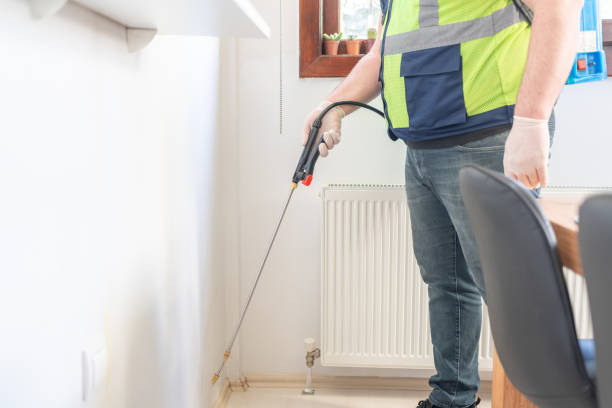 Reliable Akwesasne, NY Pest Control Solutions