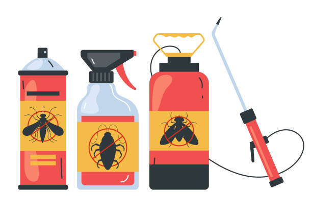 Best Local Pest Control Services  in Akwesasne, NY