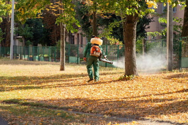 Best Pest Removal Services  in Akwesasne, NY