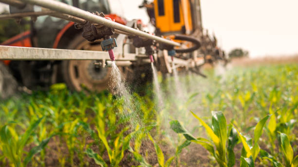 Best Commercial Pest Control Services  in Akwesasne, NY