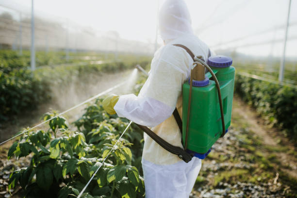 Flea Control Services in Akwesasne, NY